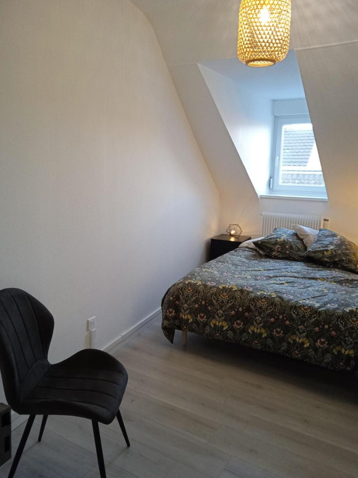 La Mulhousienne F3 Centre Ville Mulhouse Luaran gambar