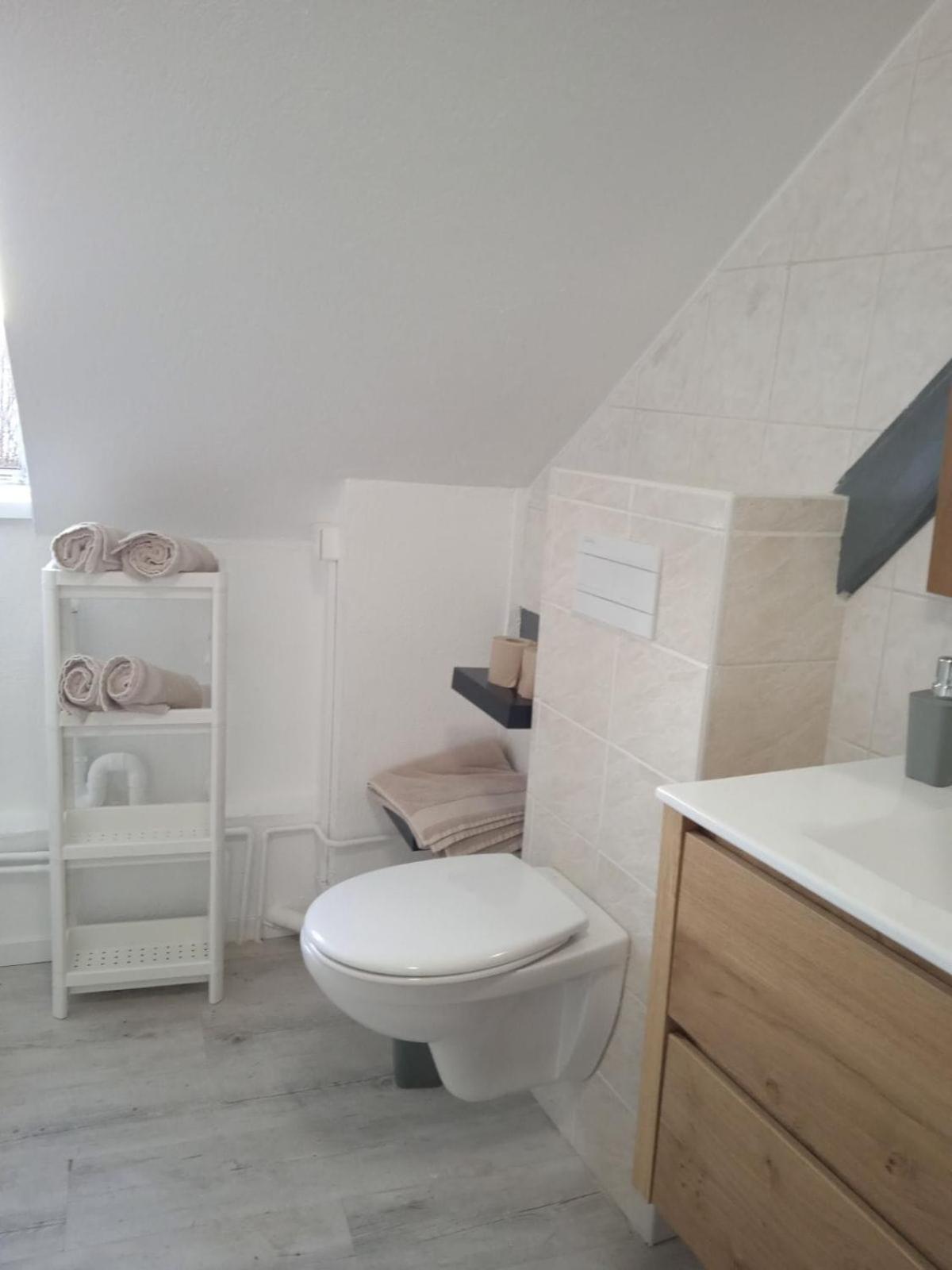 La Mulhousienne F3 Centre Ville Mulhouse Luaran gambar