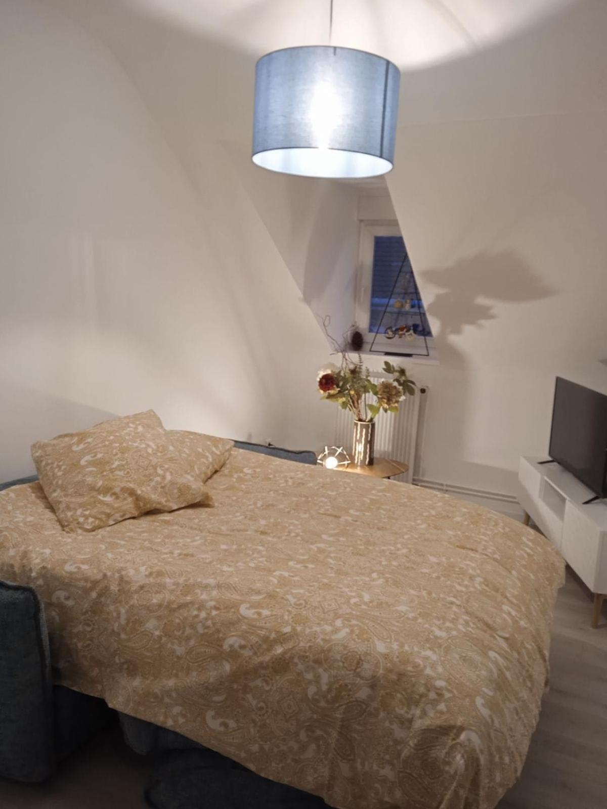 La Mulhousienne F3 Centre Ville Mulhouse Luaran gambar