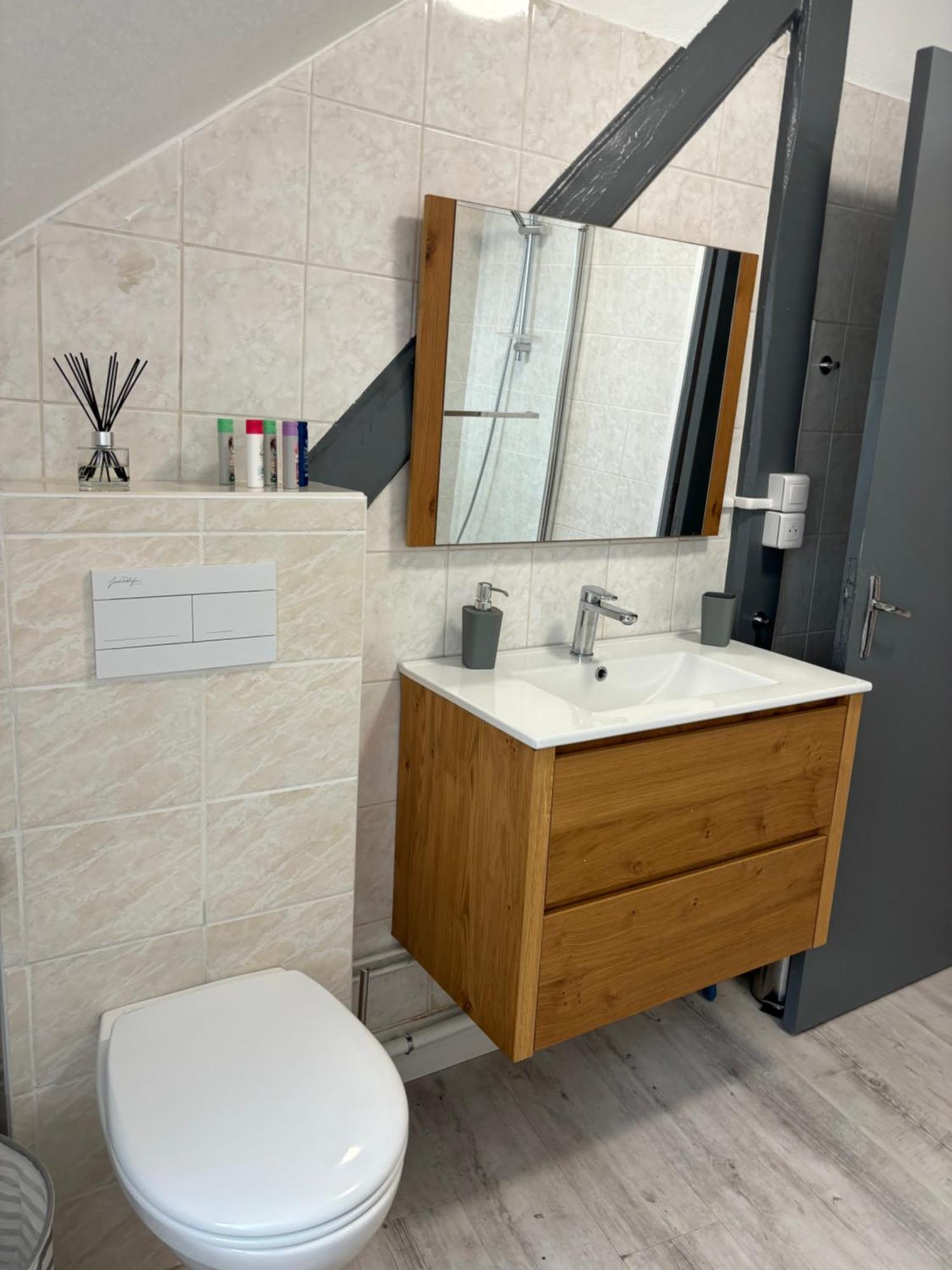 La Mulhousienne F3 Centre Ville Mulhouse Luaran gambar